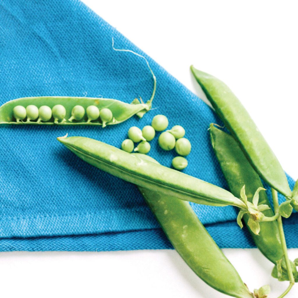 green peas on blue handkerchief