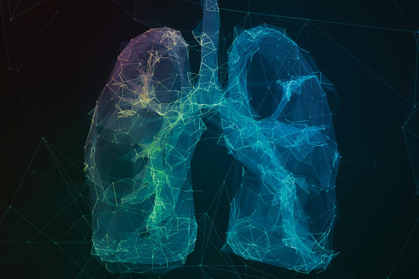 Illustrated image of lungs