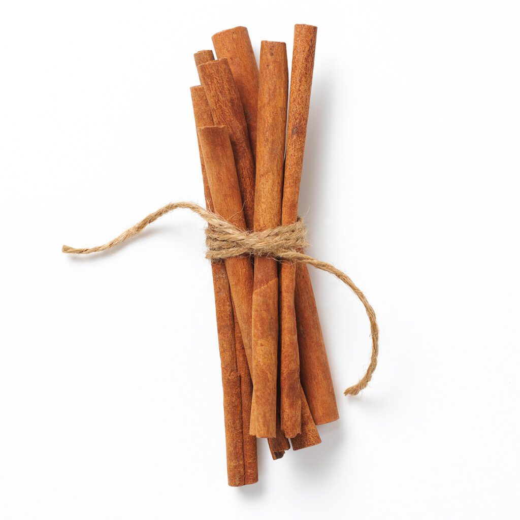 tied up cinnamon sticks