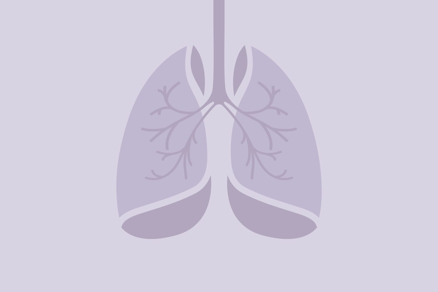 purple illustration of lungs