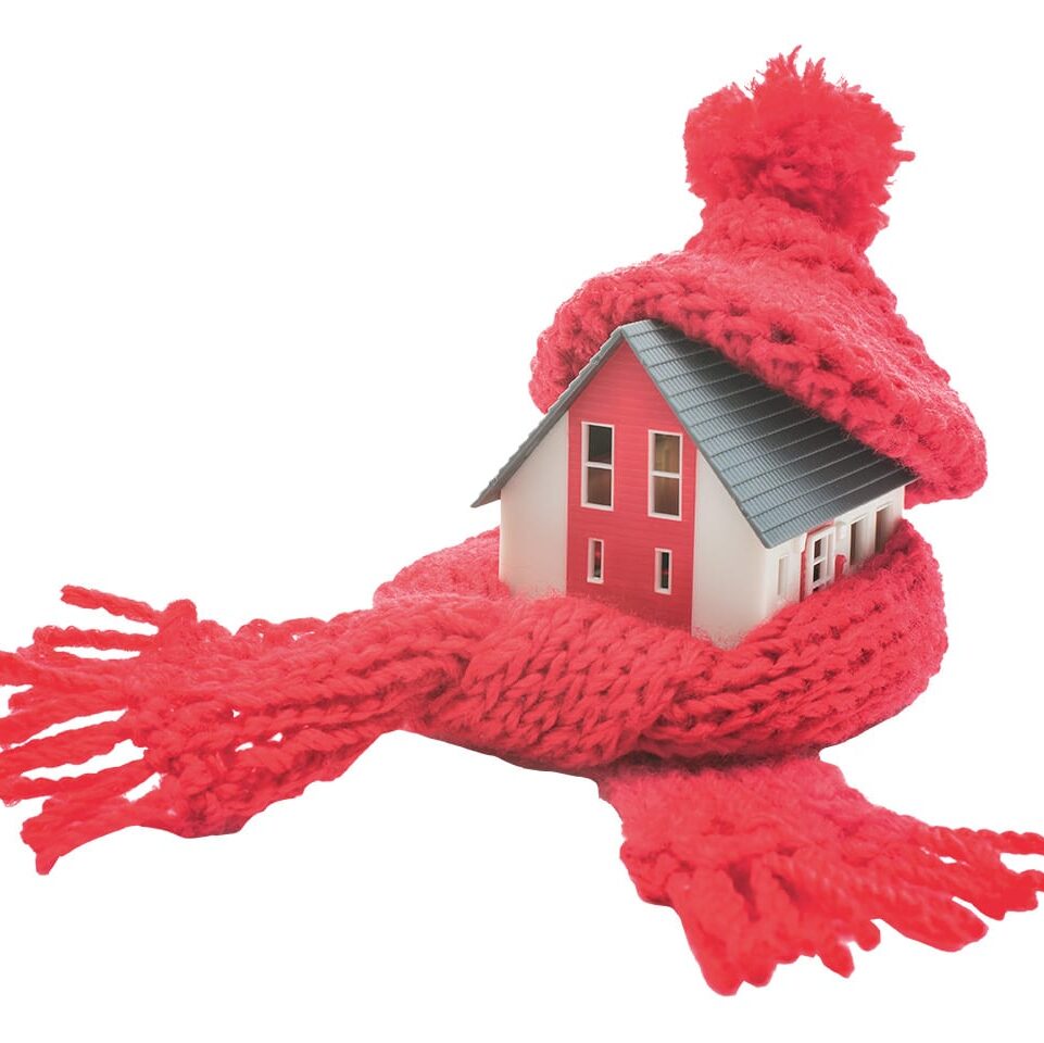 home with a knit hat and scarf for the winter