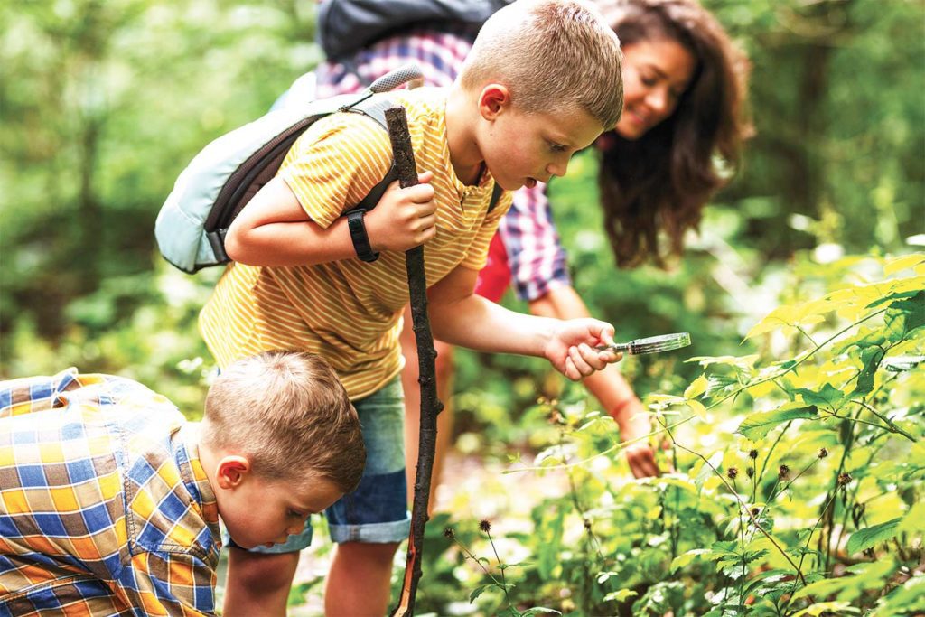 boys hiking and exploring nature with summer camp counselor
