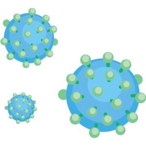 HPV pathogens illustration