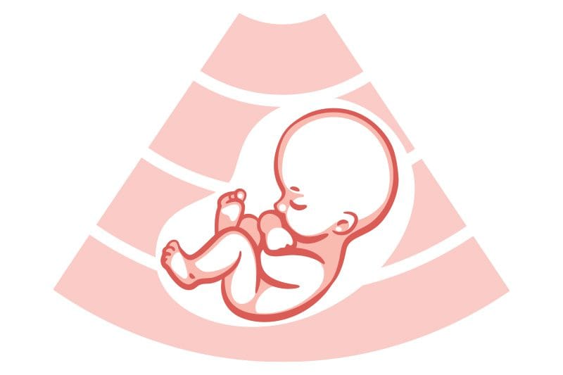 health in a minute | illustration of child in fetus