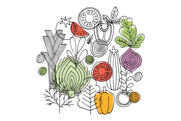 health in a minute late summer 2021 | Illustration of veggies
