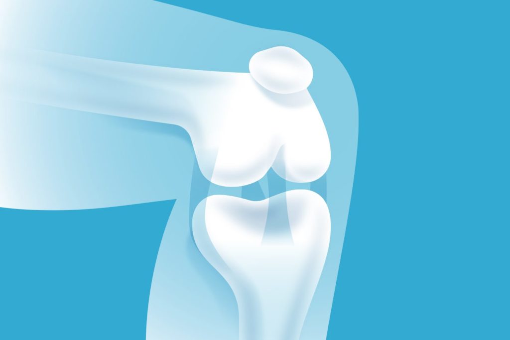illustration of bones in knee