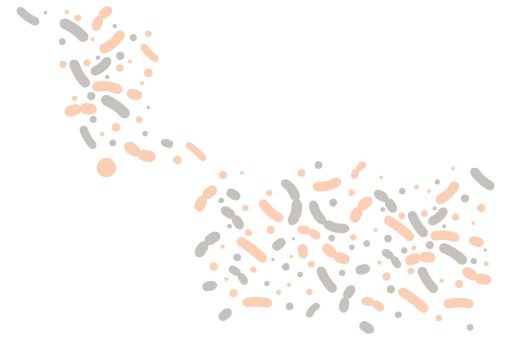 illustration of gut bacteria