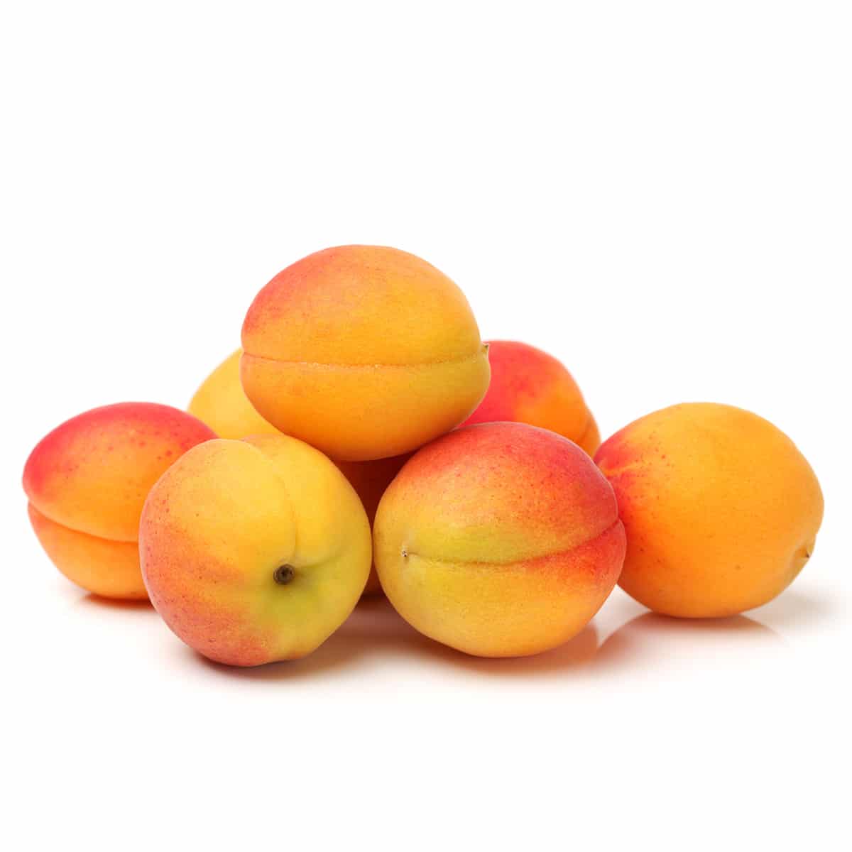 Apricot-Ginger Bars
