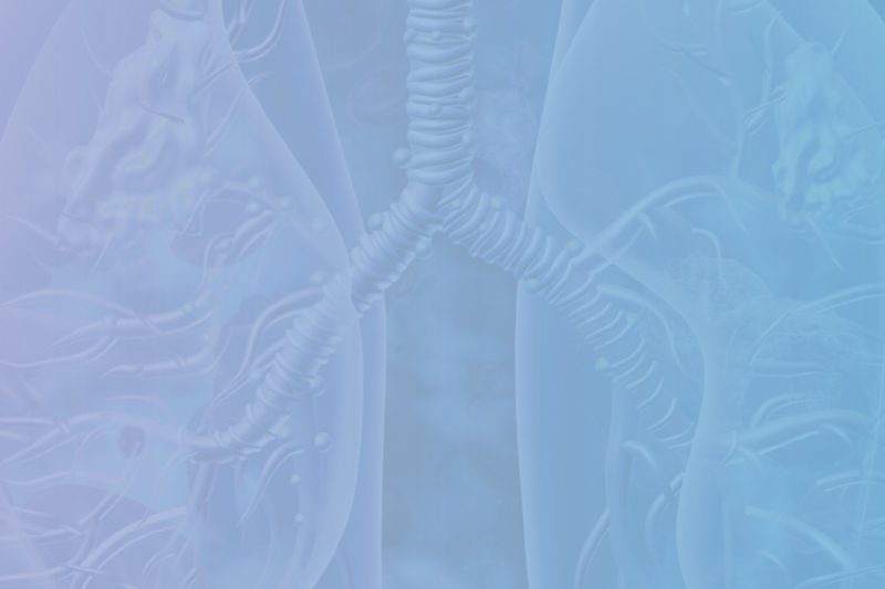 illustration of lungs of blue and purple